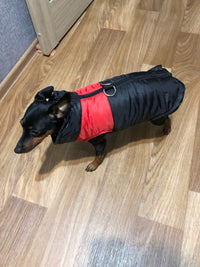 The red vest at home — buyer photo