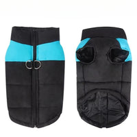 Front and back view of the blue vest